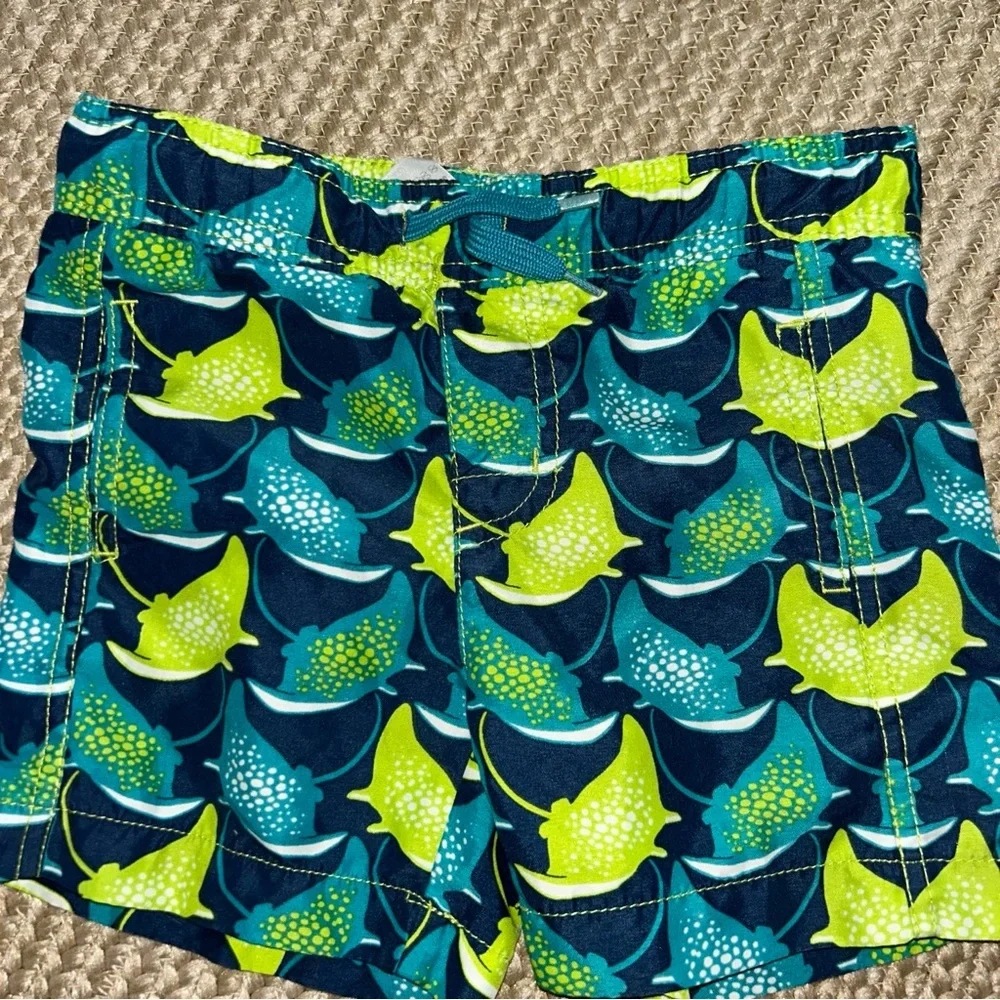 Hatley vibrant swim